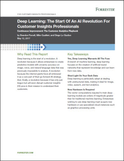 Deep Learning: The Start of an AI Revolution for Customer Insights ...