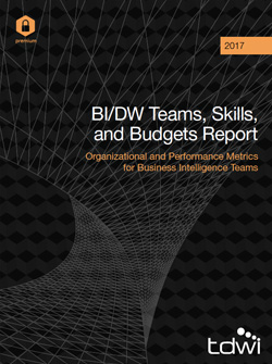 2017 BI Team Survey Report