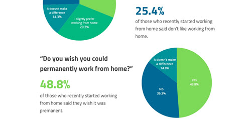 Remote Work Survey