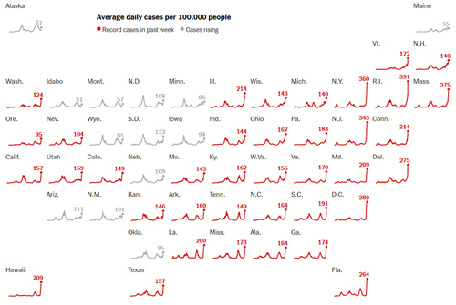 sample of data visualization, linked to full visualization at NYTimes