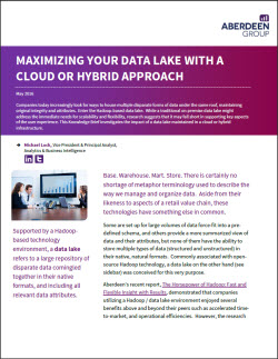 IBM white paper Maximizing Your Data Lake thumb