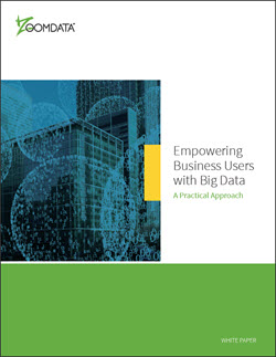 Zoomdata Big Data cover