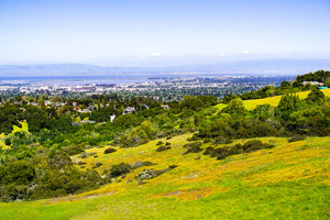 TDWI Palo Alto