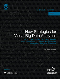 Checklist Visual Big Data Analytics Cover