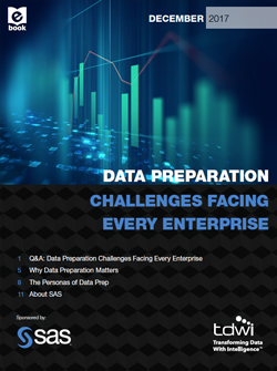 SAS Data prep ebook cover image