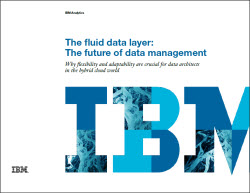 IBM WP Fluid Data Layer thumbnail