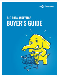 Datameer WP BDA Buyers Guide thumbnail
