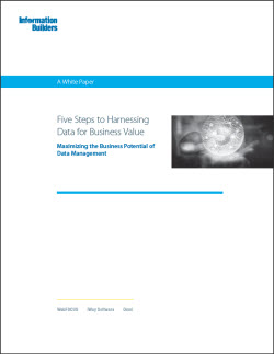 IB Five Steps to Business Value WP cover