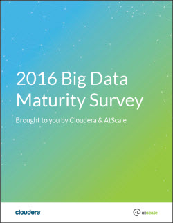 Cloudera Big Data Maturit Survey cover