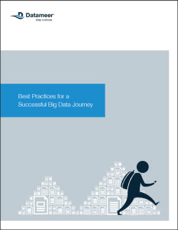 Datameer Best Practices for Successful Big Data Journey cover