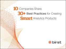 Birst WP 10 Companies Share 30 Best Practices cover