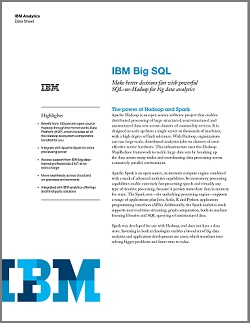 IBM Hybrid Data Management White paper Cover Image