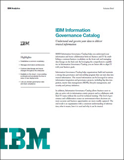 IBM Info Governance Catalog Thumbnail