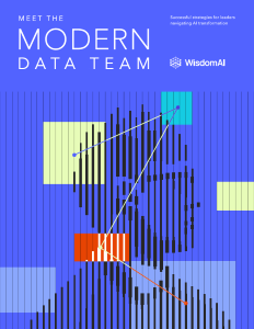 Wisdom AI report cover image