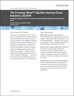 IBM white paper Forrester Wave Big Data thumb