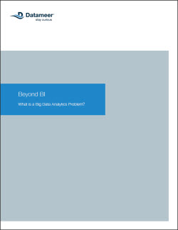 Datameer WP Beyond BI thumbnail