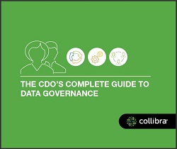 Collibra white paper cover image