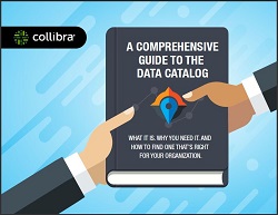 Collibra white paper cover image