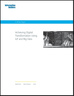 InformationBuilders white paper cover image