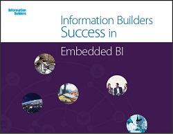 InformationBuilders ebook cover image