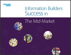 InformationBuilders ebook cover image