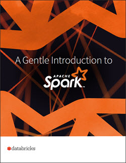 Databricks White paper cover