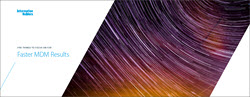 Information Builders e-book