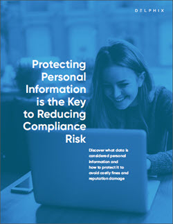 Delphix ebook