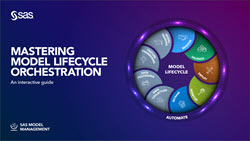 SAS white paper