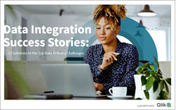 Qlik white paper cover image