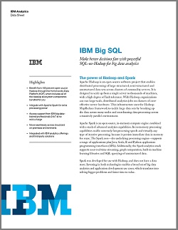 ibm big data