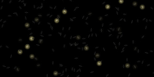 Fireflies