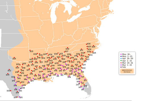 Hummingbird map