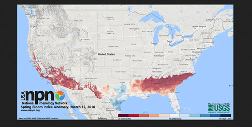 NPN Bloom Index