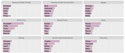 dog name analysis